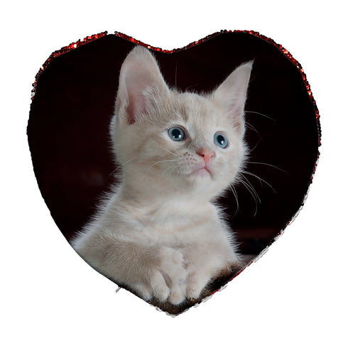 Η Δική Σας Φωτογραφία Εκτυπωμένη Σε Μαξιλάρι Καρδιά 39x44