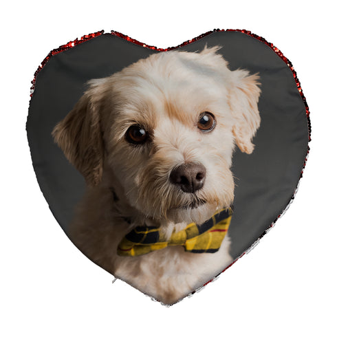 Η Δική Σας Φωτογραφία Εκτυπωμένη Σε Μαξιλάρι Καρδιά 39x44