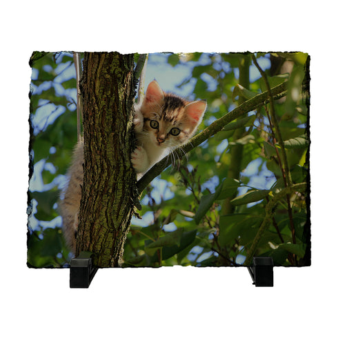 Η Δική Σας Φωτογραφία Εκτυπωμένη Σε Πέτρα 30x20